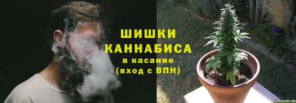 PSILOCYBIN Гусиноозёрск