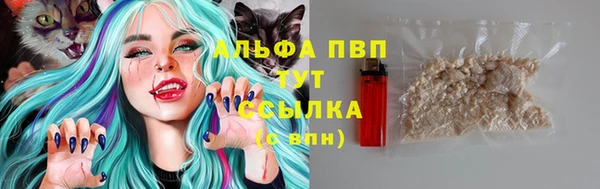 PSILOCYBIN Гусиноозёрск