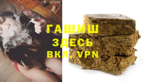 PSILOCYBIN Гусиноозёрск